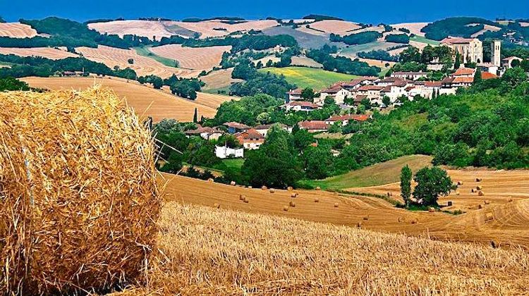 LE BONHEUR DANS LE PRÉ - Expérience du slow tourisme avec TerraGers